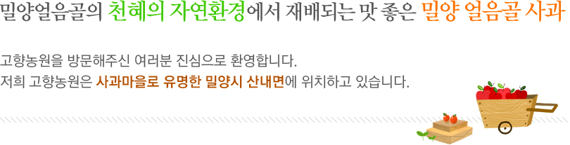 밀양얼음골의 천혜의 자연환경에서 재배되는 맛 좋은 밀양 얼음골 사과 고향농원을 방문해주신 여러분 진심으로 환영합니다. 저희 고향농원은 사과마을로 유명한 밀양시 산내면에 위치하고 있습니다.