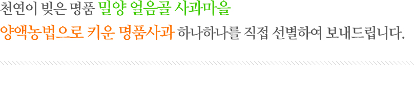 천연이 빚은 명품 밀양 얼음골 사과마을 양액농법으로 키운 명품사과 하나하를 직접 선별하여 보내드립니다.